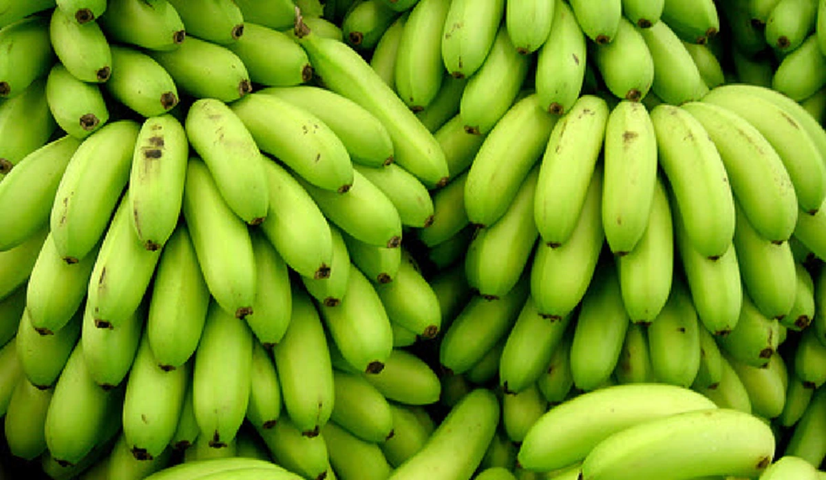 กล้วยๆ นี่แหละ!! รักษาและป้องกันโรคได้ถึง 8 โรคร้ายแบบไม่ต้องพึ่งยา เพียงรับประทานให้ถูกเวลา รับรองชีวิตเปลี่ยน