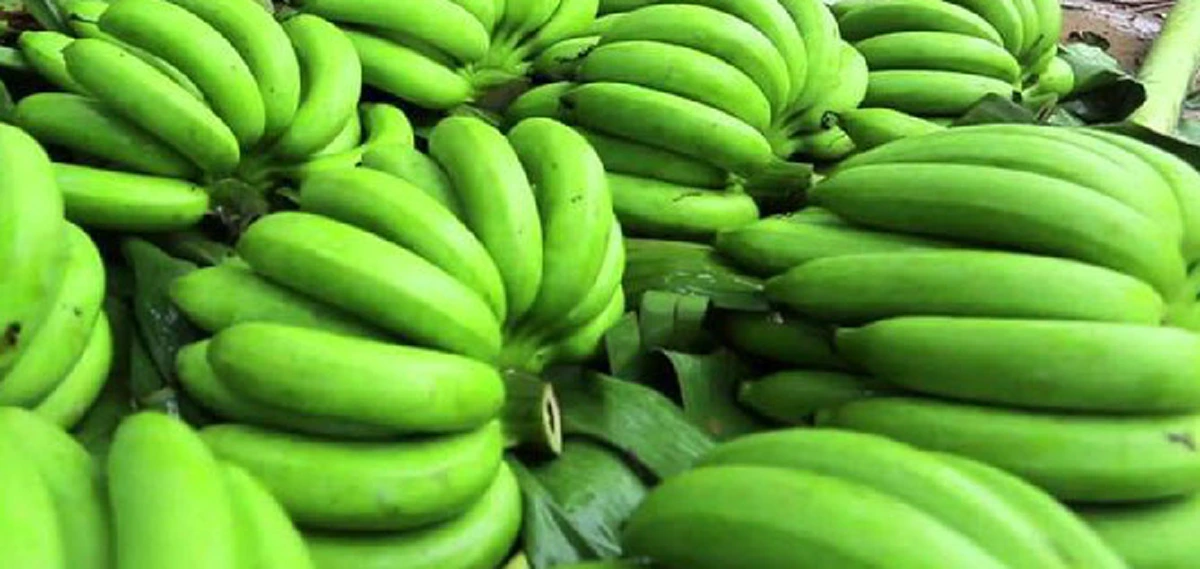 กล้วยๆ นี่แหละ!! รักษาและป้องกันโรคได้ถึง 8 โรคร้ายแบบไม่ต้องพึ่งยา เพียงรับประทานให้ถูกเวลา รับรองชีวิตเปลี่ยน