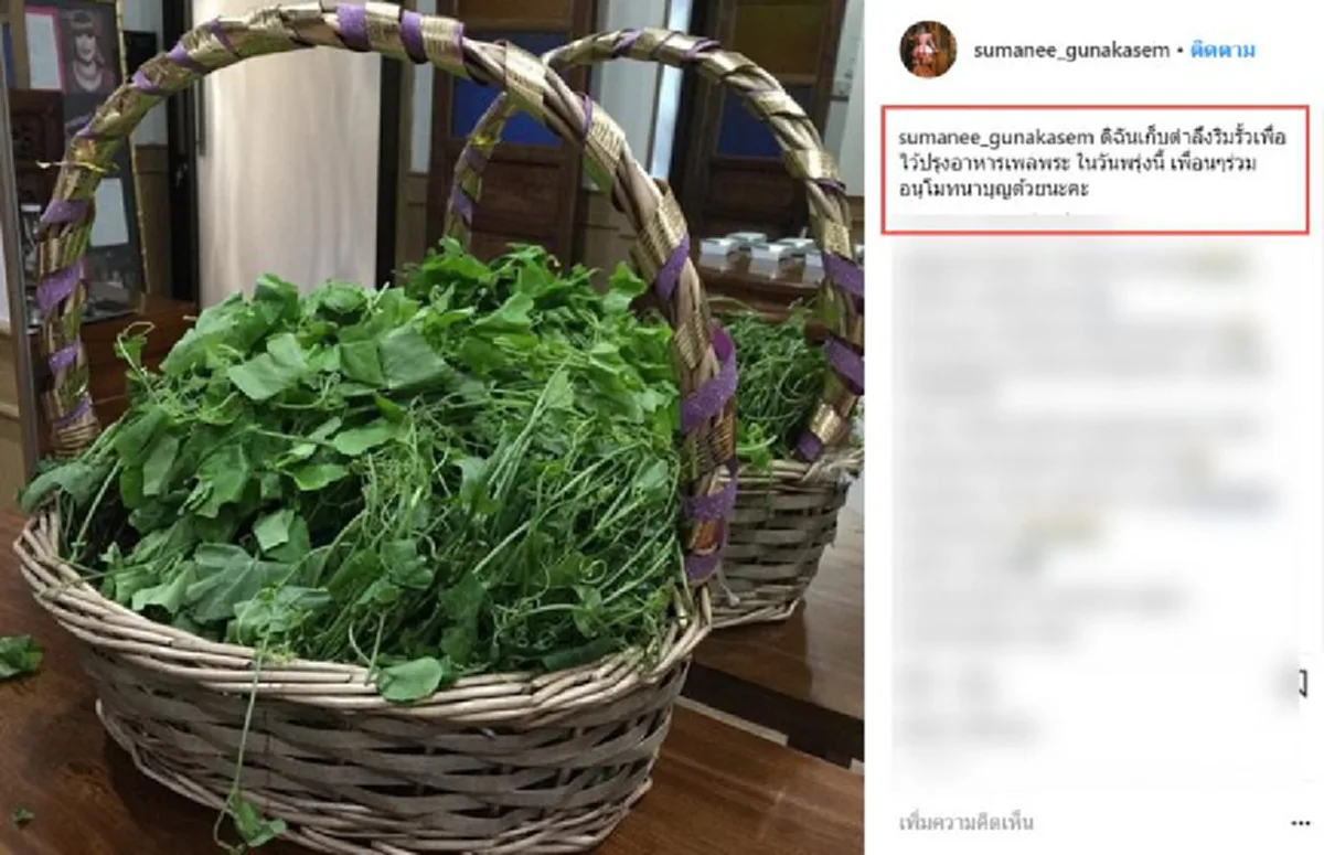 **สุขได้เหมือนกัน !!! ส่องชีวิตล่าสุด "คุณสุมณี" ไฮโซหมื่นล้าน เจ้าของฉายา "บาร์บี้เมืองไทย" หลังหายป่วยจากโรคมะเร็ง (ภาพ)