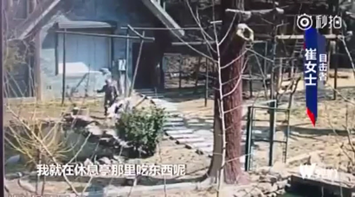 ชาวเน็ต ฉุนหนัก จนท.สวนสัตว์จีน "คว้าแท่งไม้ฟาดนกกระเรียนมงกุฎแดง" ซึ่งเป็นสัตว์ป่าคุ้มครองระดับสูงสุดของชาติ!! (ชมคลิป)