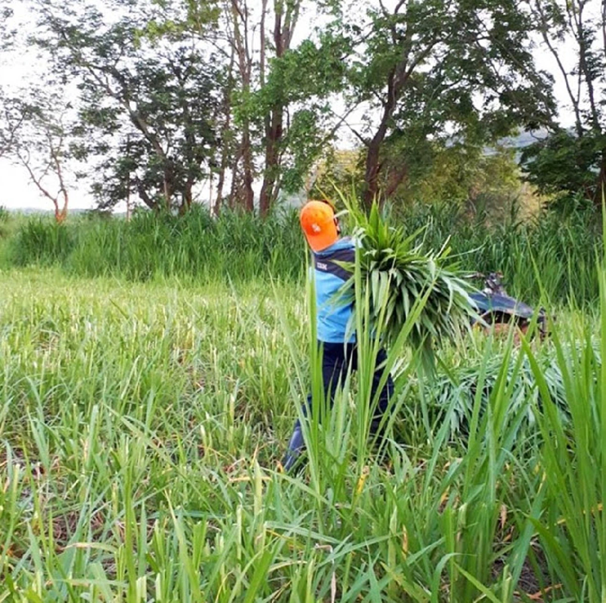 ***ถอดแบบสำเนาถูกต้อง !!! เปิดภาพ "น้องปราบ" ลูกชายคนเดียวของคุณแม่เจ้าของวลีเด็ด "ของมันต้องมี" ล่าสุดโตแล้วหล่อมาก พร้อมเฉิดฉายในวงการ !?