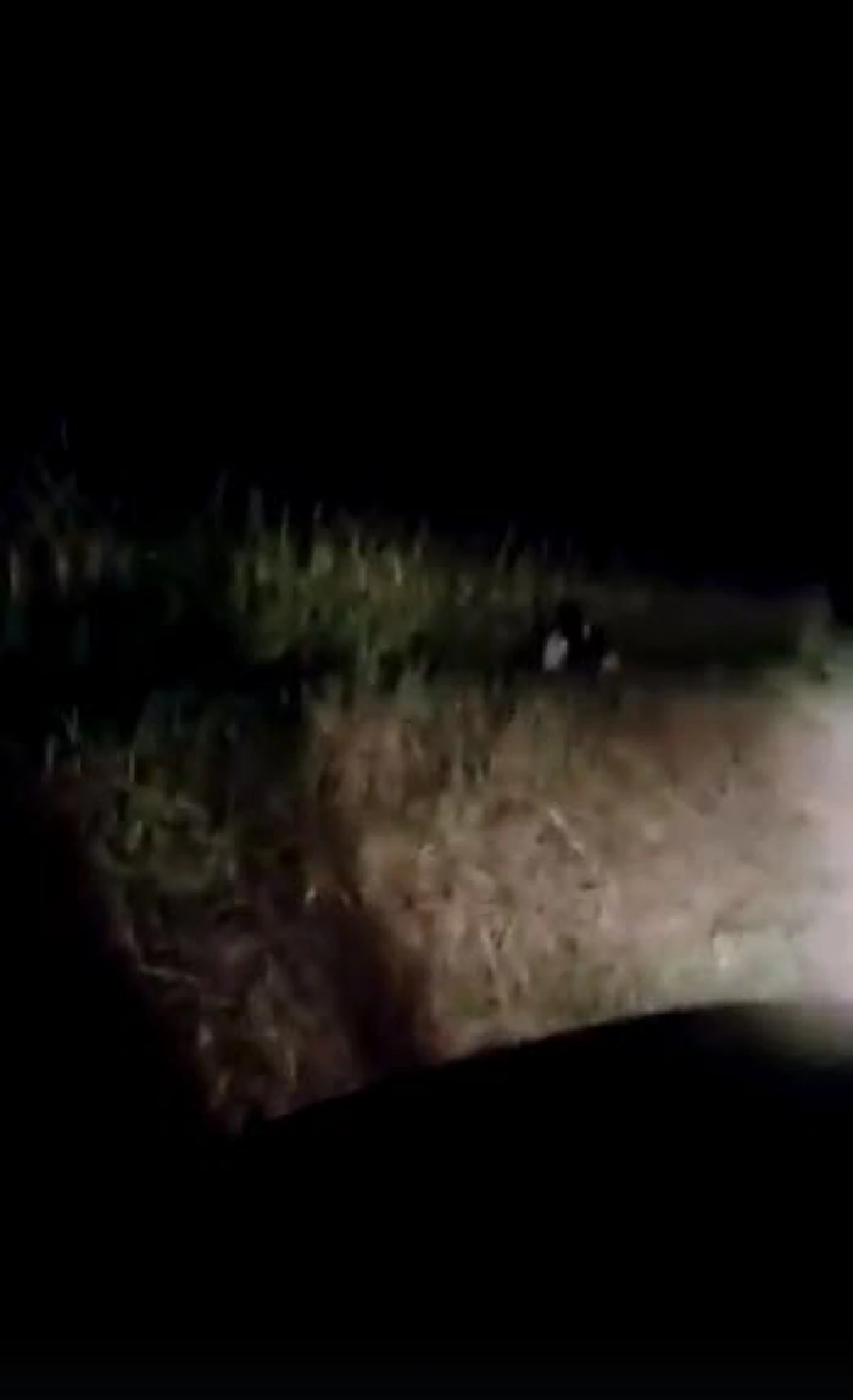 ตกใจหมด! เผยคลิป "ผีกองกอย" เวอร์ชั่นเต็มๆ กระโดดอย่างกับในหนัง แต่ตอนจบสุดพีค?!! (คลิป)