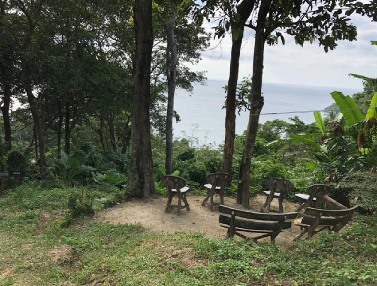 ร้องเรียน"บิ๊กโจ๊ก" สาวภูเก็ต เรียกเก็บค่าเข้าชายหาดกลางป่าสงวน ทำรายได้เเสนบาทต่อวัน!