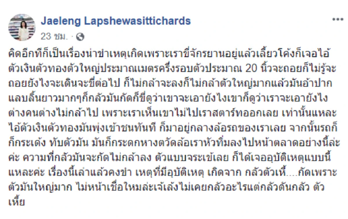 ชาวเน็ตซื้อเลข 68 อายุเจ้เล้ง หลังปั่นจักรยานเจอตัวเงินตัวทองชนรถคว่ำ!