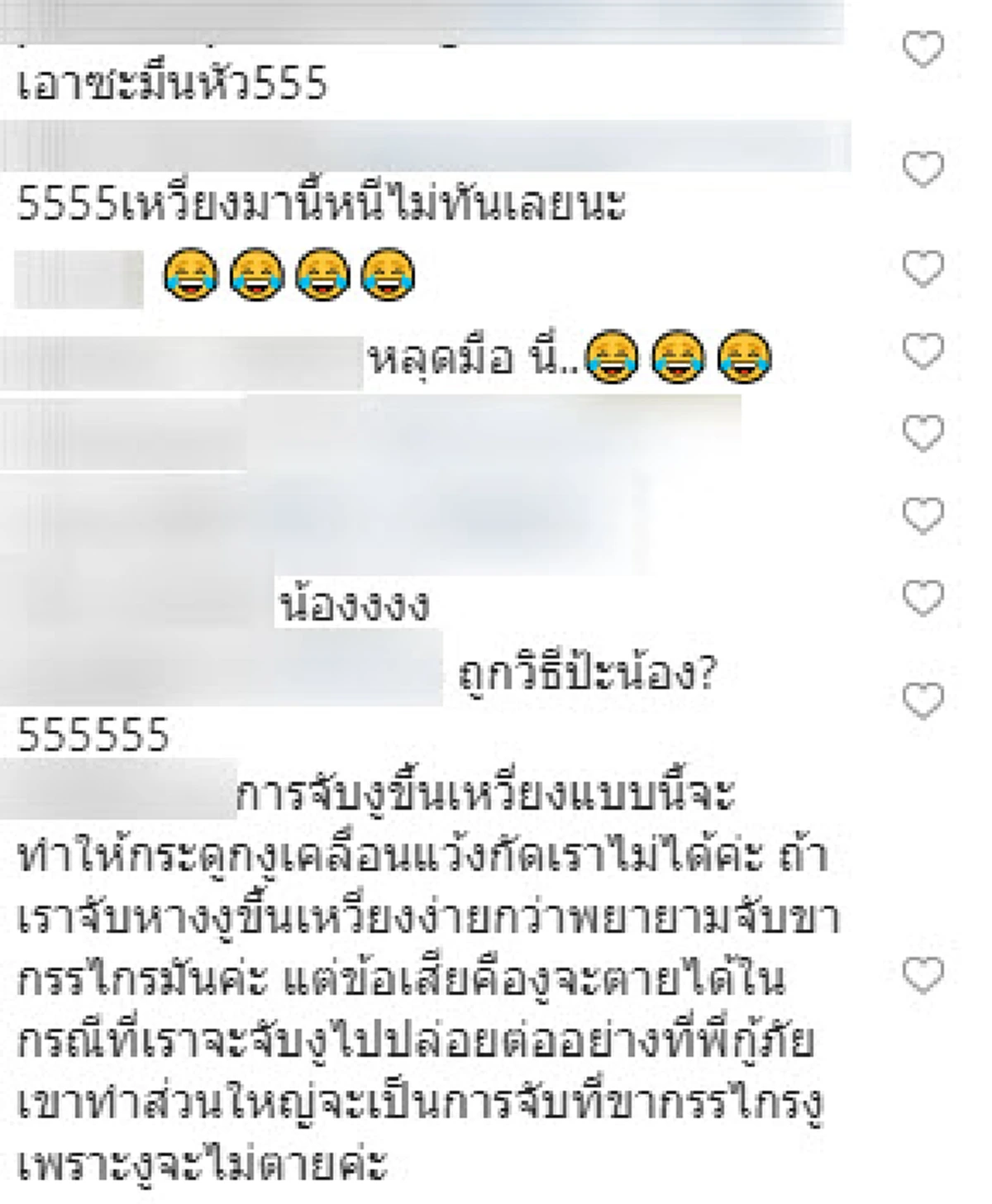 เจ้าหน้าที่กู้ภัยจับงู เหวี่ยงไปมาไม่ให้เเว้งกัด ชาวเน็ต ลั่น ถ้าหลุดมือมีวงเเตก (คลิป)