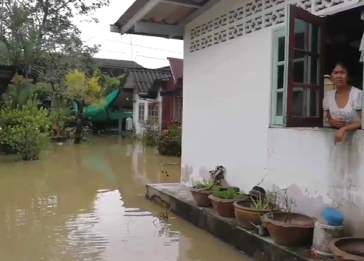 ชลประทาน \"ลำคลองท่าดี\" นครศรีฯ ไม่เปิดประตูระบายน้ำ หลัง เต็มไปด้วยวัชพืช!