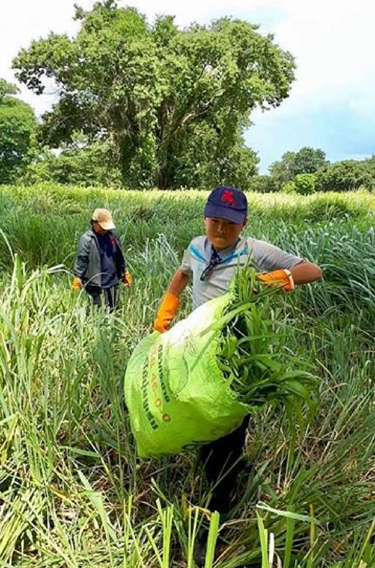 "น้องปราบ" ทายาทเจ้าของโชคชัย ลูกชายหัวแก้วหัวแหวน "สู่ขวัญ บูลกุล" สอนลูกติดดิน ใช้ชีวิตแบบชาวไร่