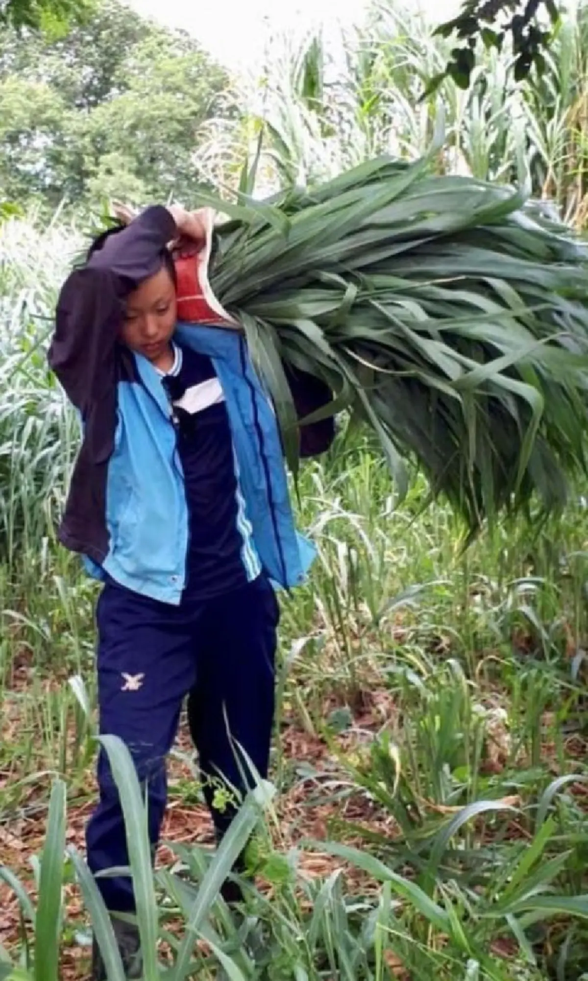 "น้องปราบ" ทายาทเจ้าของโชคชัย ลูกชายหัวแก้วหัวแหวน "สู่ขวัญ บูลกุล" สอนลูกติดดิน ใช้ชีวิตแบบชาวไร่