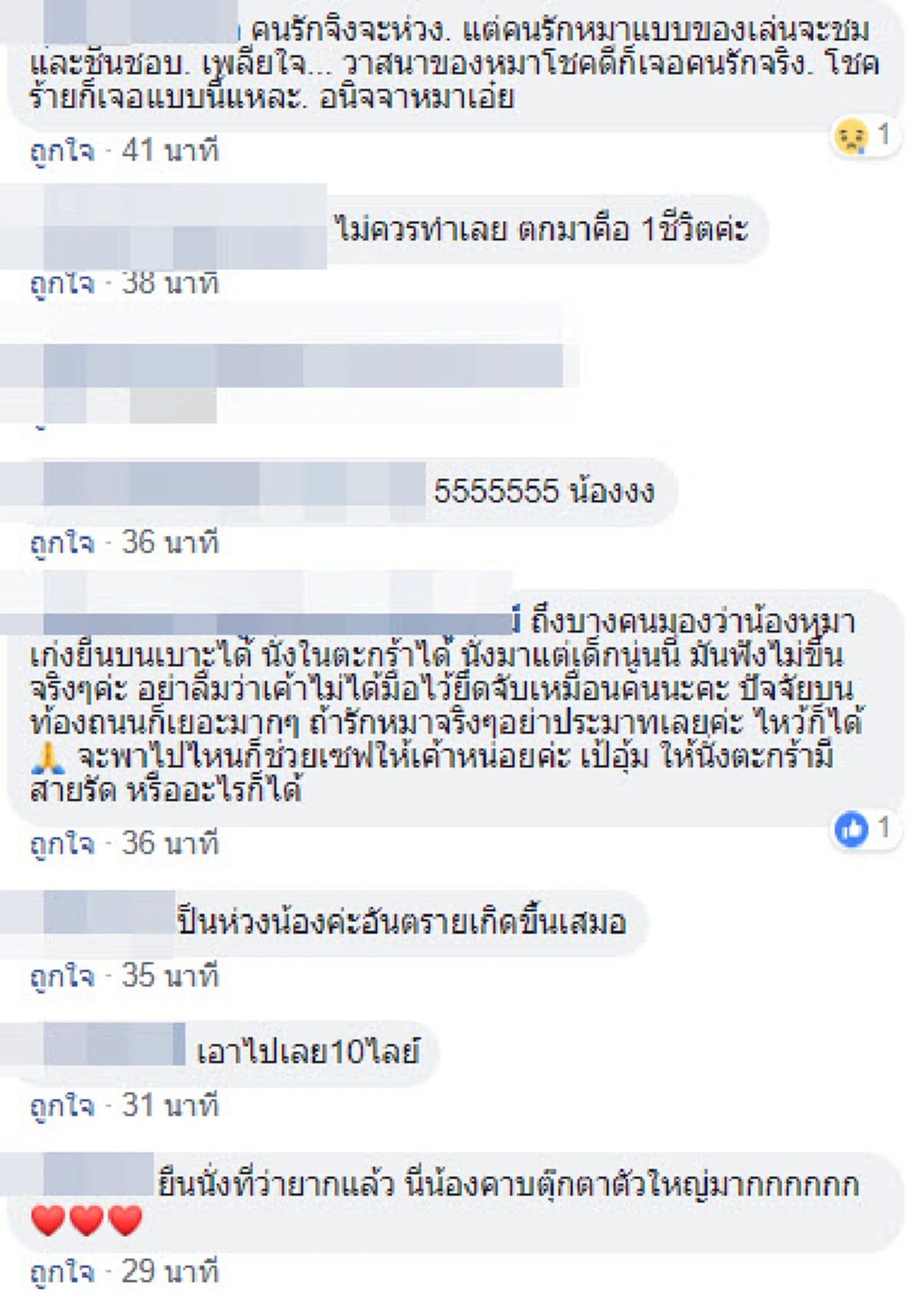 สุนัขสีดำยืน 4 ขา ซ้อนท้ายมอเตอร์ไซค์ ในปากคาบตุ๊กตา เอนตัวไปมา ท่ามกลางรถที่เเล่นไปบนถนน (คลิป)