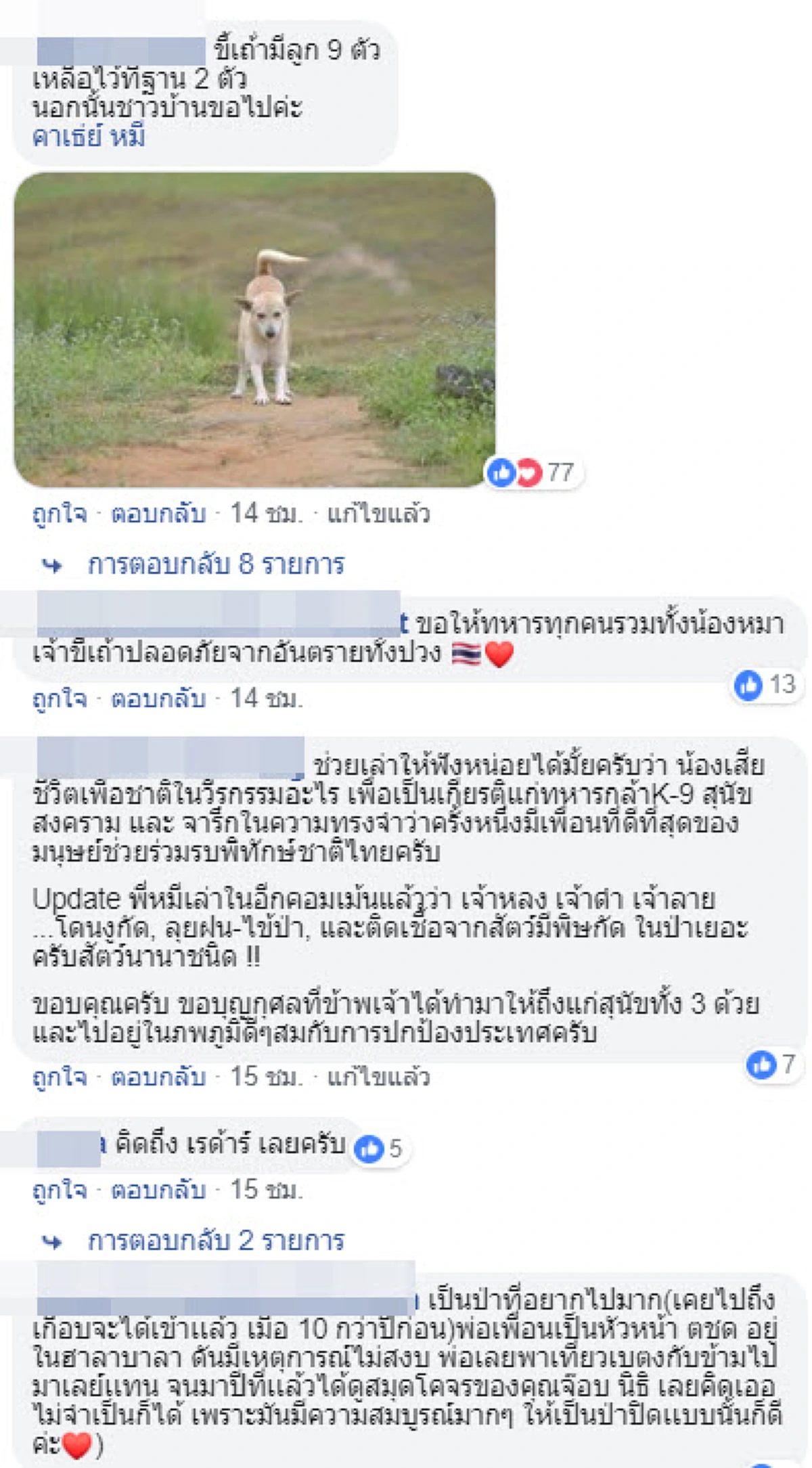 คมเมนต์ชาวเน็ต