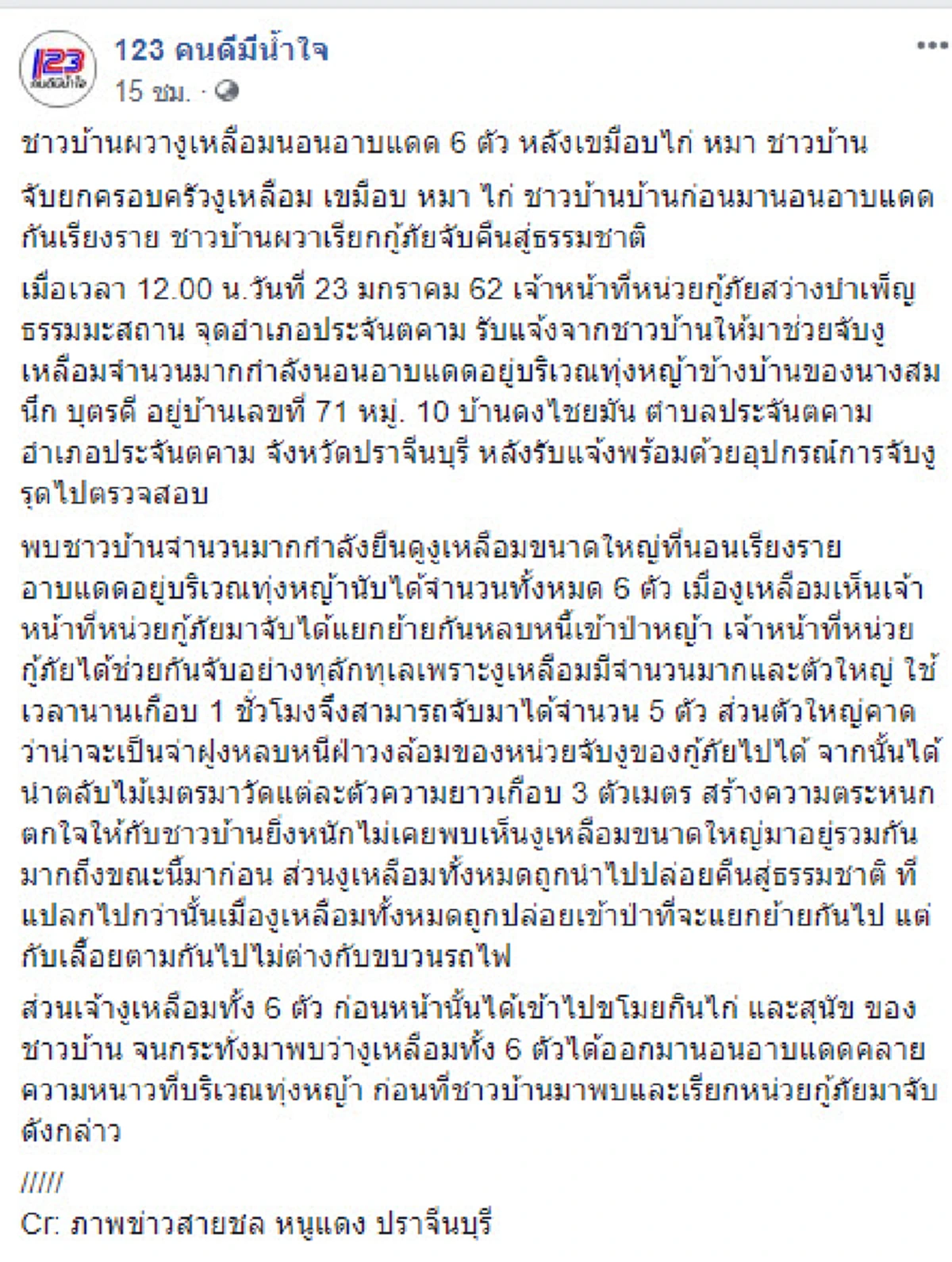 จับรวดยกครอบครัว งูเหลือมตัวอ้วนนอนเรียงรายอาบเเดด หลังเขมือบ ไก่ สุนัข ชาวบ้าน จ.ปราจีนบุรี