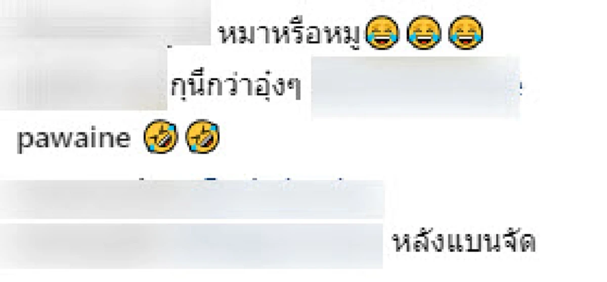 น้องหมาอ้วนจัด นอนเเล้วพลิกตัวกลับไม่ได้ จนเจ้านายต้องรีบช่วย (คลิป)
