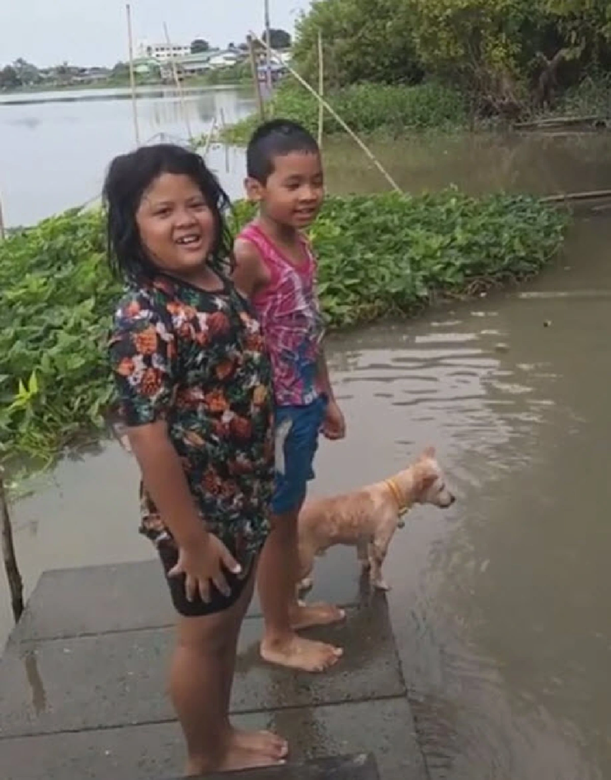 เจ้าตูบเเสนรู้ เล่นน้ำพร้อมพี่ๆ (คลิป)