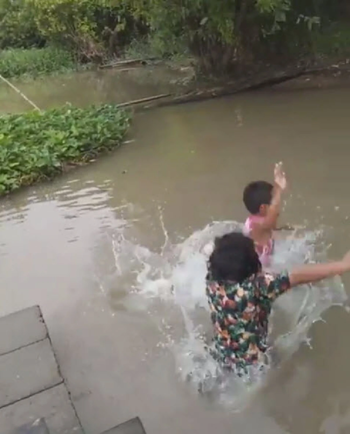 เจ้าตูบเเสนรู้ เล่นน้ำพร้อมพี่ๆ (คลิป)
