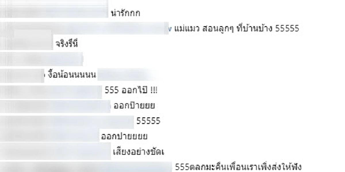เจ้าเเมวเหมียวตัวน้อย ส่งเสียง ไล่จิ้งจก (คลิป)