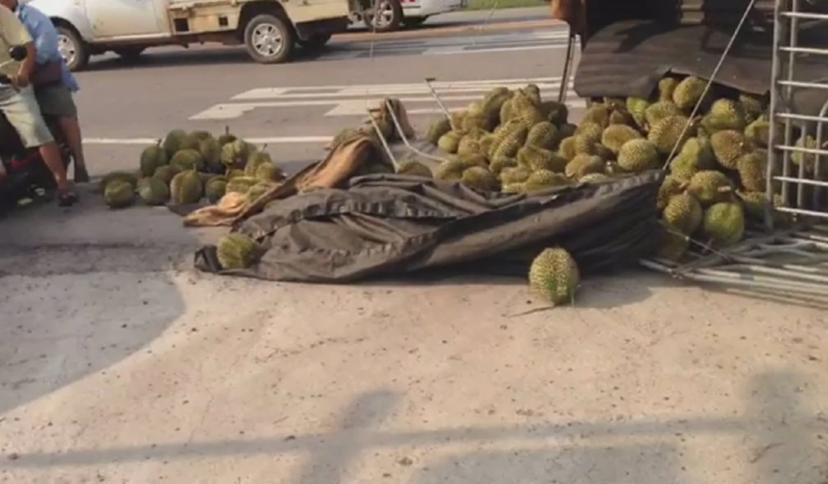 รถขนทุเรียนคว่ำ