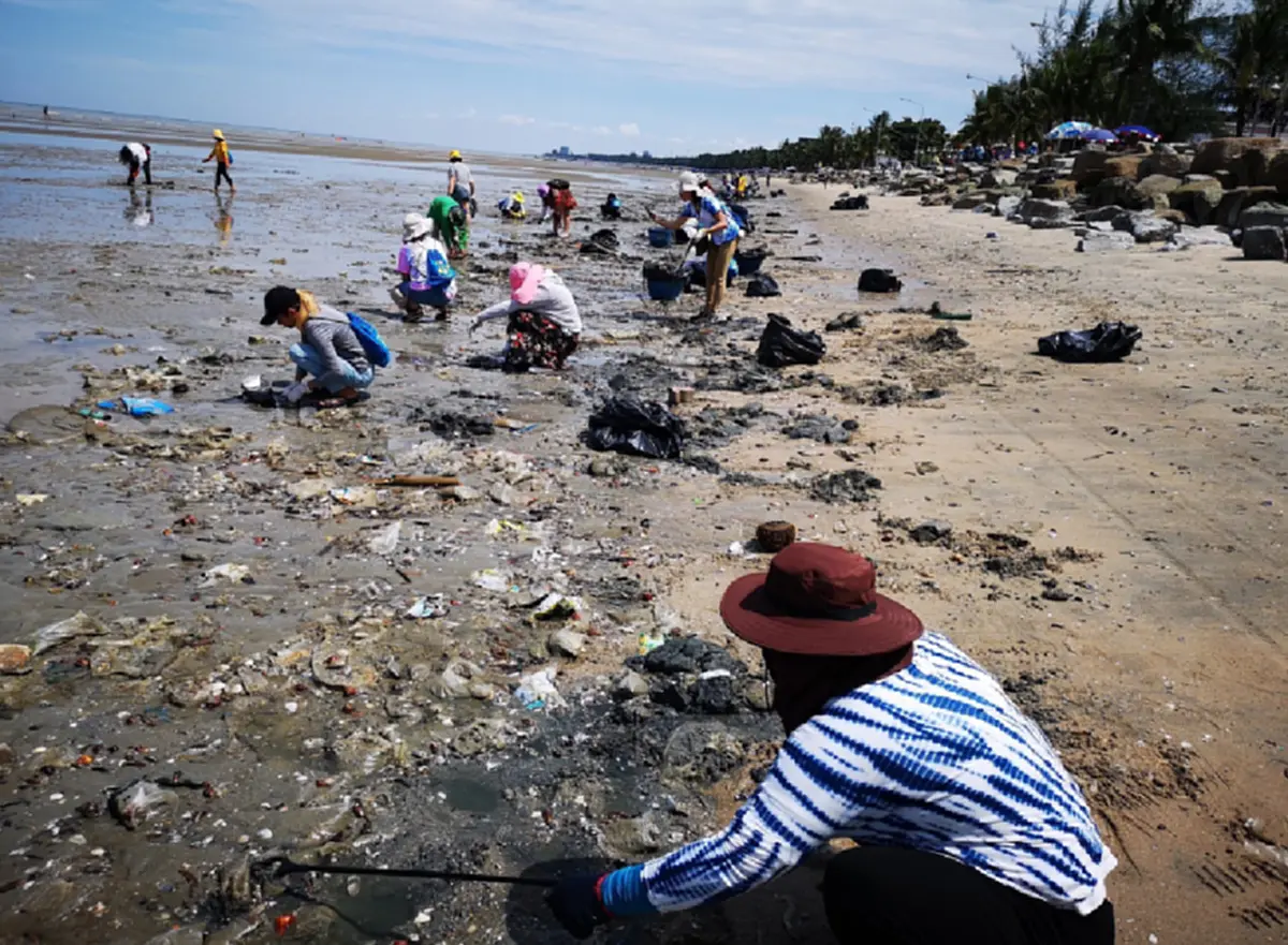 นุช แฟนคลับ เป๊ก ผลิตโชค รวมตัว เก็บขยะริมชายหาดบางแสน