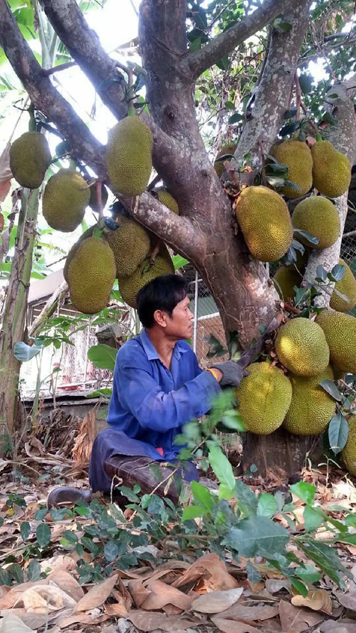 ปรีชา เรืองจันทร์ อดีตผู้ว่าฯ ดีกรีด็อกเตอร์ ใช้ชีวิตหลังเกษียณ ตามหลักเศรษฐกิจพอเพียง "ปลูกทุกอย่างที่กิน กินทุกอย่างที่ปลูก"
