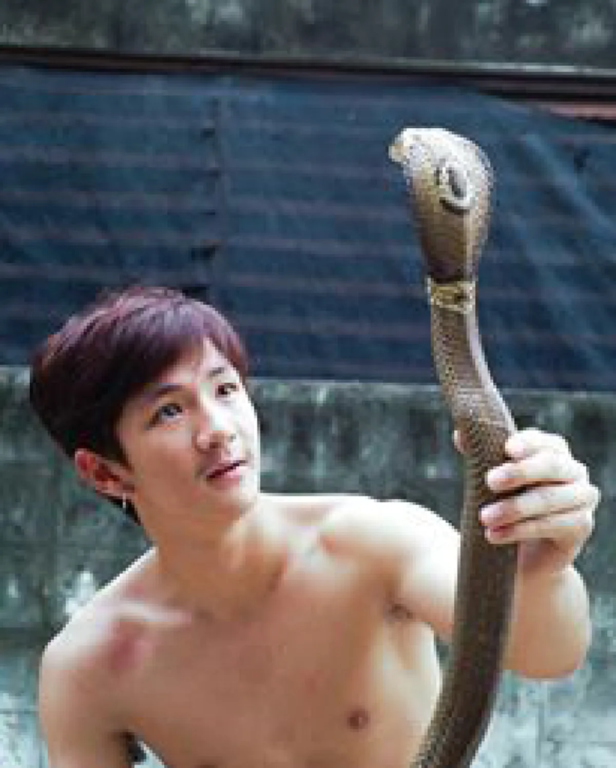 #งานนี้สาวๆต้องร้องกรี๊ดดด!! เปิดวาร์ป “น้องดรีม” อาสาจับงู หน้าตาดี โปร์ไฟล์ไม่ธรรมดา เรียกได้ว่า หล่อ ลำ มาก !! (ชมคลิป)