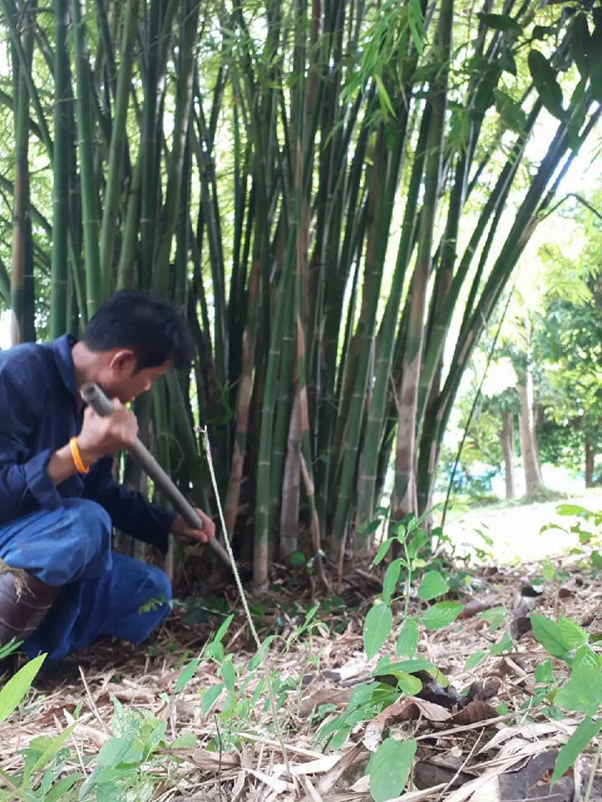 ปรีชา เรืองจันทร์ อดีตผู้ว่าฯ  ชาวนา ดีกรีด็อกเตอร์ ใช้ชีวิตหลังเกษียณ ตามหลักเศรษฐกิจพอเพียง "ปลูกทุกอย่างที่กิน กินทุกอย่างที่ปลูก"