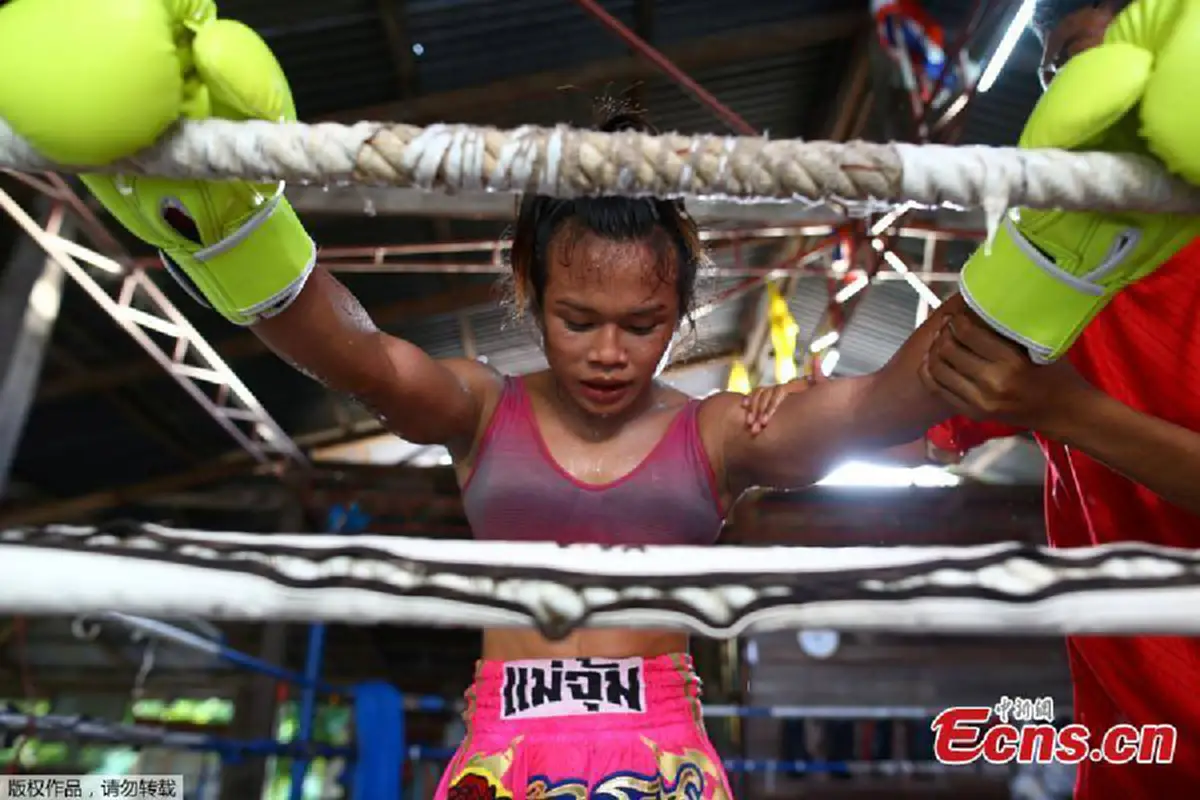 ดังแล้ว!! สื่อต่างประเทศ ตีแผ่ชีวิตดอกไม้เหล็กบนเวทีมวยไทย “น้องโรส” นักมวยไทยข้ามเพศ ที่กว่าจะมาเป็นแชมป์ ให้คนทั้งโลกได้ชื่นชม