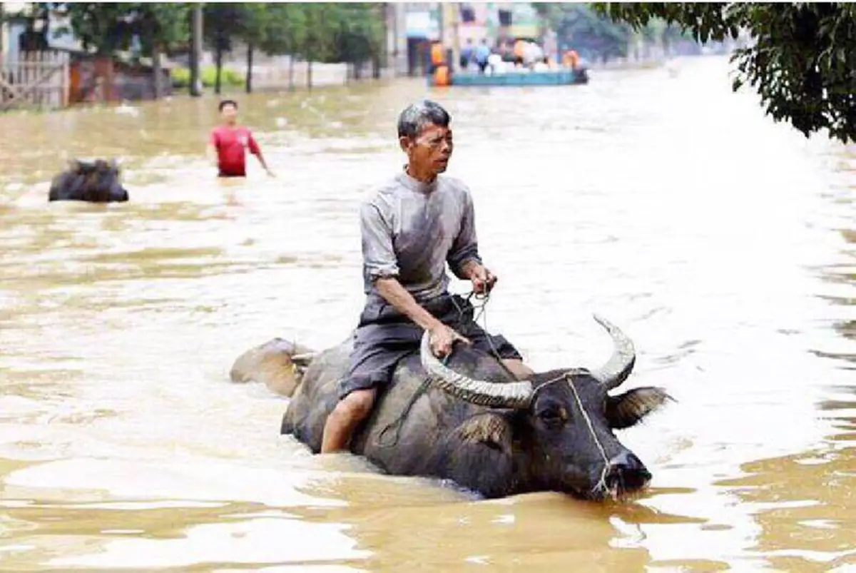 แรงส์ !!! กนก ไม่รู้โพสต์เหน็บใคร? บอก "ฝนตกทำไมไม่ไถนา มาเล็มหญ้าอยู่หน้าศาล" ชาวเน็ตแห่ไลค์-เม้นท์ เพียบ!!!