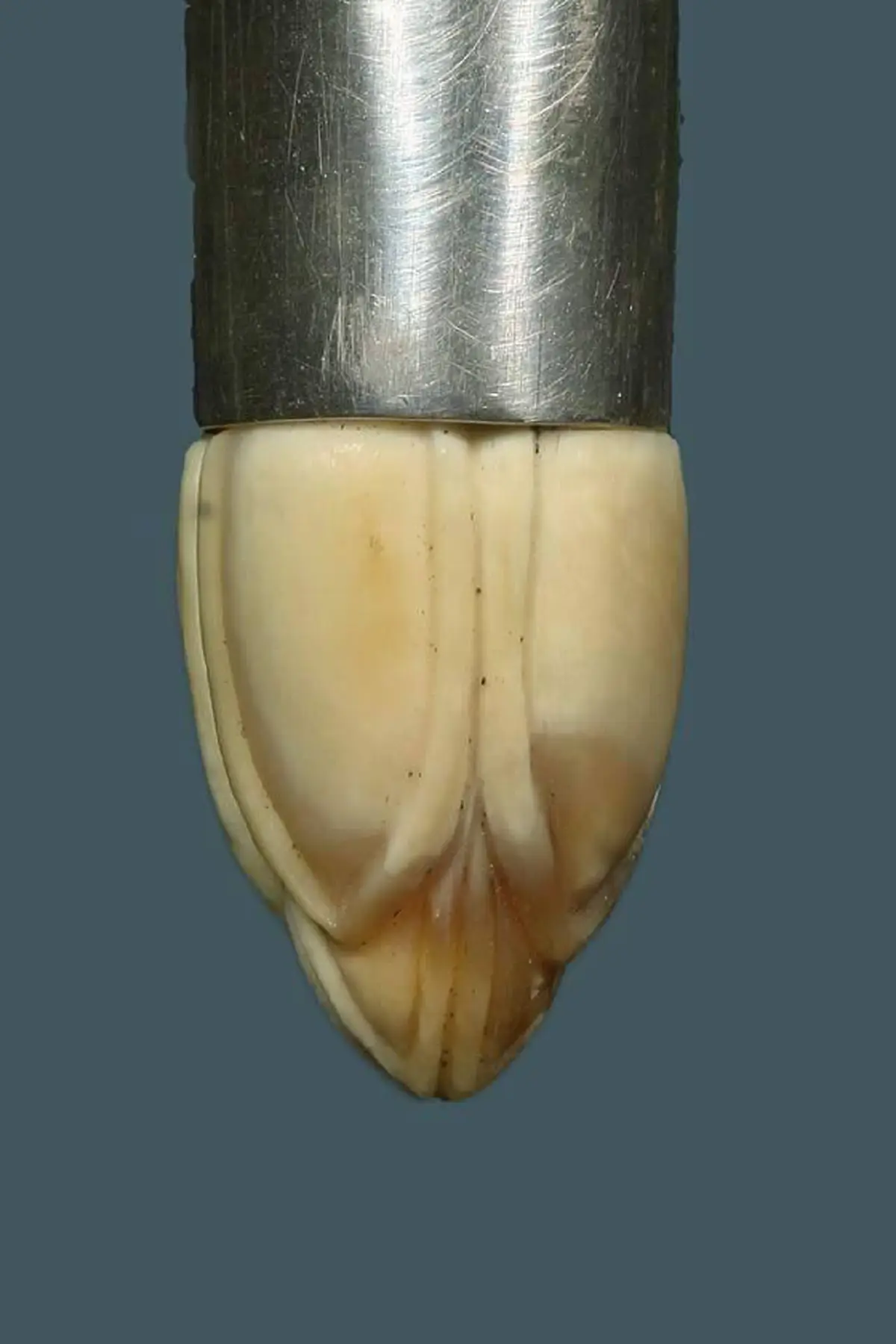 ย้อนตำนานอันลือลั่น.."ไม้บรมครูชี้ต้นตายชี้ปลายเป็น" ตำรับสรรพวิชาจาก "เขาอ้อ" ดินแดนแห่งมนตราที่เกรียงไกรในอดีตและปัจจุบัน..