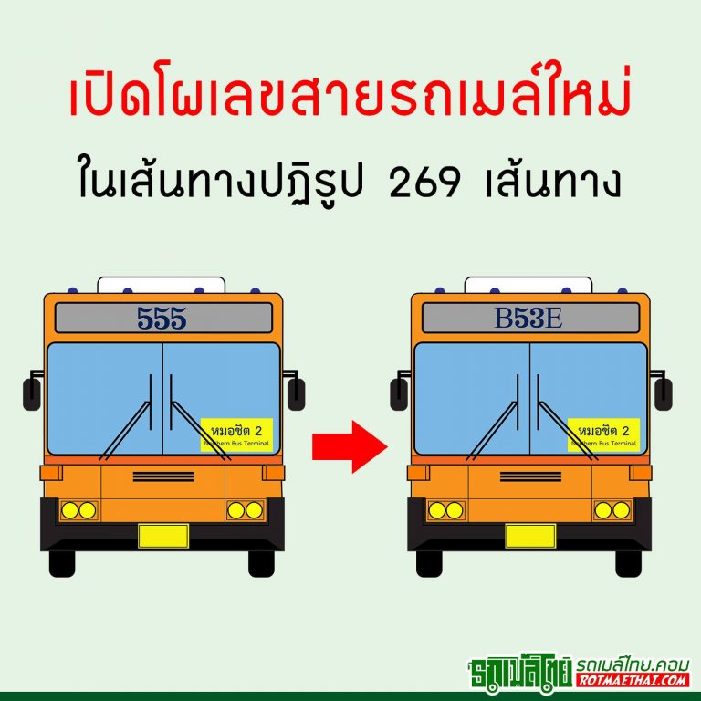 My Image 11