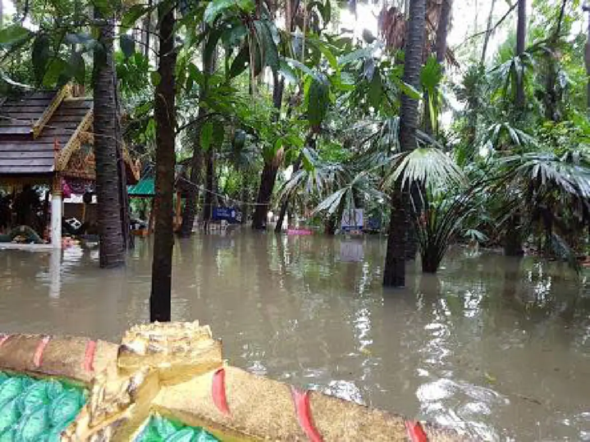 ปู่ศรีสุทโธอาจอยากปิดเกาะตลอดเข้าพรรษา! ชาวบ้านเชื่อ ความสงบกำลังจะกลับมาที่คำชะโนดอีกครั้ง หลังจากที่ผู้คนหอบเอาความโลภ ความวุ่นวายเข้าไป!!