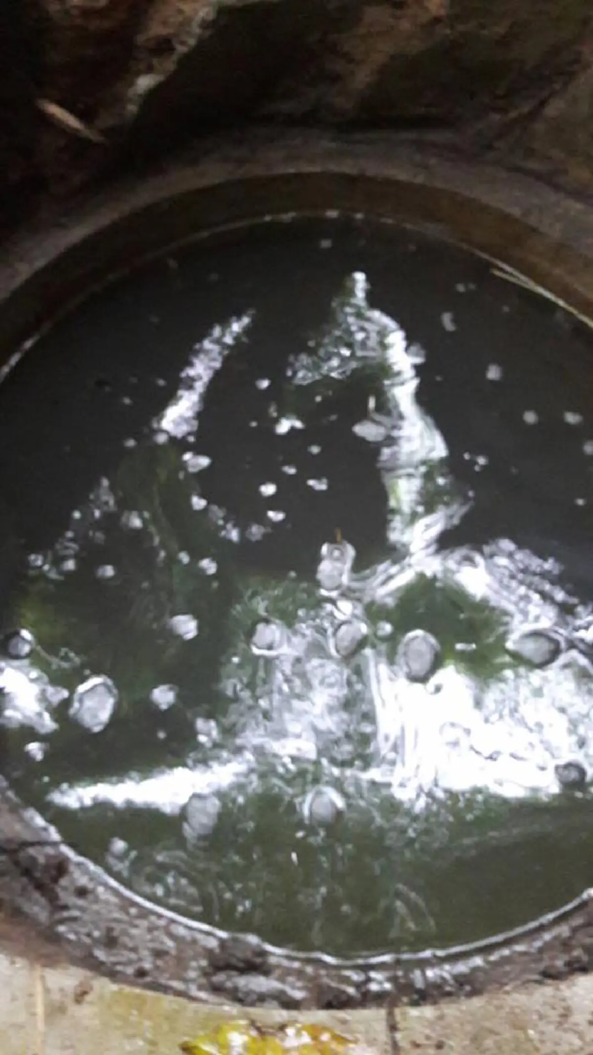 อัศจรรย์..ห่างกัน 4  ปี แต่สิ่งนี้ยังเกิดขึ้นเหมือนเดิม!! คณะปฏิบัติธรรม สำรวจ บ่อน้ำทิพย์บ้านผีกองกอย ถ่ายภาพมาเจอพญานาคเต็มๆ ยกมือสาธุ ทั้