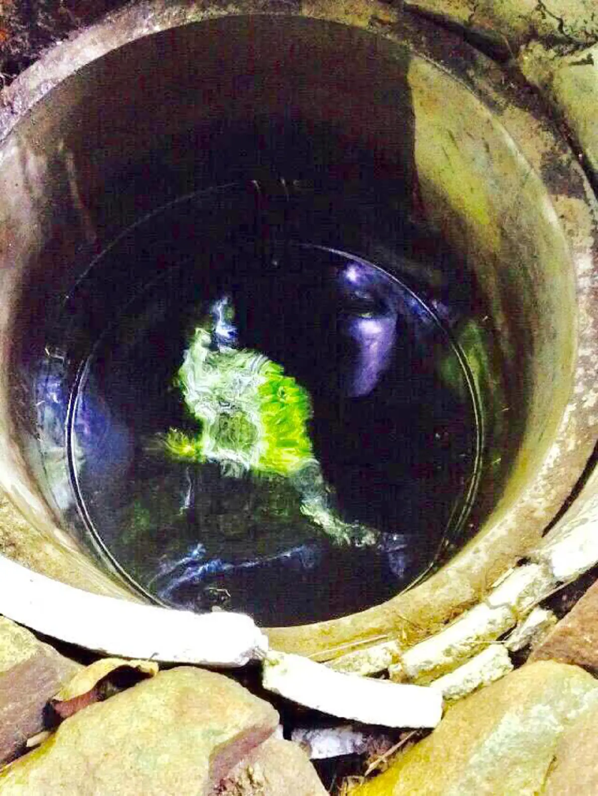 อัศจรรย์..ห่างกัน 4  ปี แต่สิ่งนี้ยังเกิดขึ้นเหมือนเดิม!! คณะปฏิบัติธรรม สำรวจ บ่อน้ำทิพย์บ้านผีกองกอย ถ่ายภาพมาเจอพญานาคเต็มๆ ยกมือสาธุ ทั้