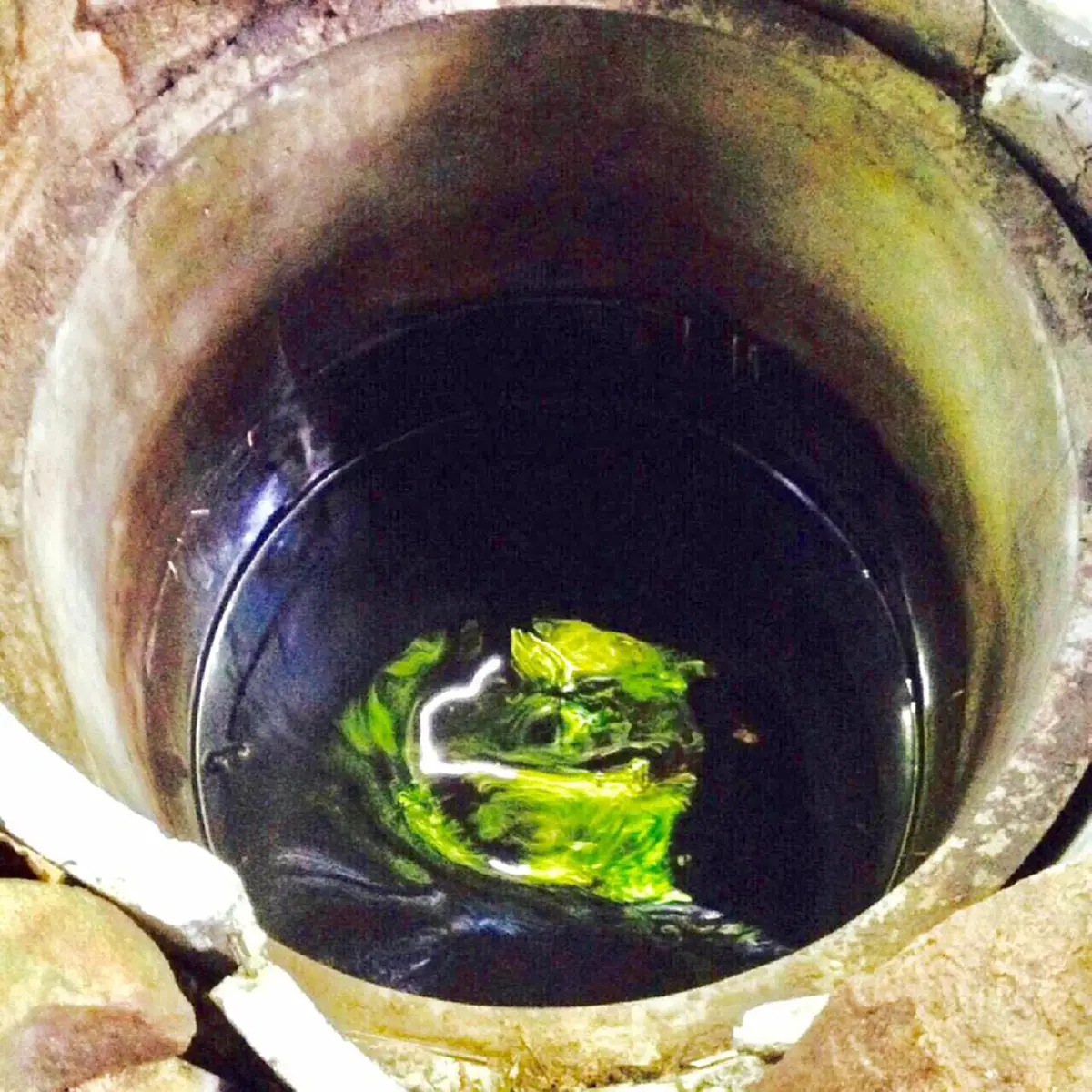 อัศจรรย์..ห่างกัน 4  ปี แต่สิ่งนี้ยังเกิดขึ้นเหมือนเดิม!! คณะปฏิบัติธรรม สำรวจ บ่อน้ำทิพย์บ้านผีกองกอย ถ่ายภาพมาเจอพญานาคเต็มๆ ยกมือสาธุ ทั้