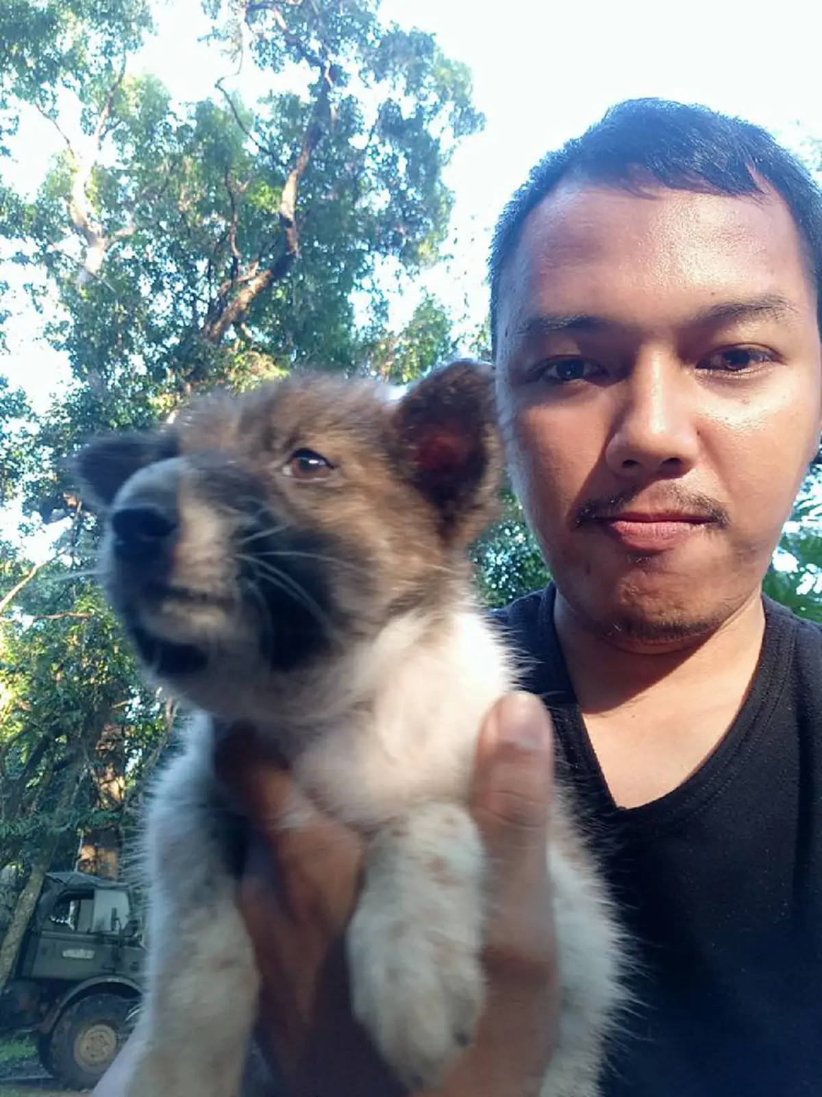 จิ๋วแต่แจ๋ว !! ลูกสุนัข 3 ตัว ใจนักเลง  ปกป้องเจ้านาย สู้จนหน้าตัวเองนั้นบวมเป่ง เล่นเอาชาวเน็ตแห่กดไลท์กันแบบรัวๆ เมื่อรู้ว่าสู้กับอะไร ??