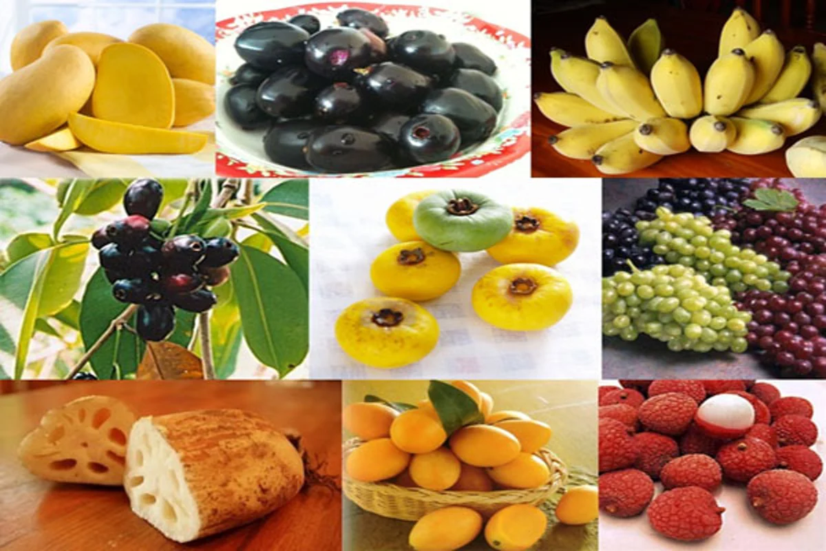 น้ำปานะทรงเสวยของสมเด็จพระสังฆราช! กับเรื่องสำคัญที่คนทำบุญต้องรู้!! ถวายน้ำปานะแด่พระภิกษุ ทำอย่างไรจึงถูกต้อง