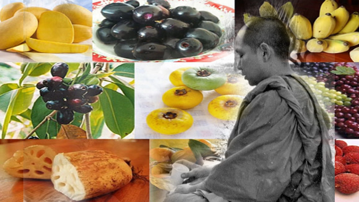 น้ำปานะทรงเสวยของสมเด็จพระสังฆราช! กับเรื่องสำคัญที่คนทำบุญต้องรู้!! ถวายน้ำปานะแด่พระภิกษุ ทำอย่างไรจึงถูกต้อง