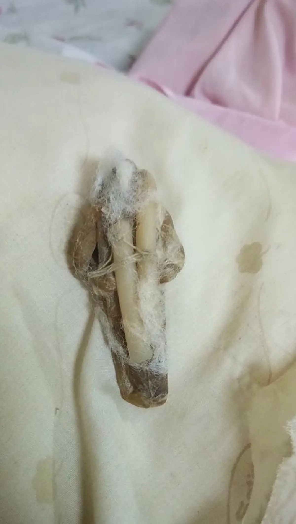 จิตตก..นอนเเทบไม่หลับ??!! ย้ายหอหักใหม่..พบบางสิ่งบางอย่างในหมอน..กรีดออกมาดูชัดๆ2ตา!!สุดสะพรึง..ขนหัวลุก!!ว่าเเต่มันคืออะไรกันเเน่??(ชมภาพ)