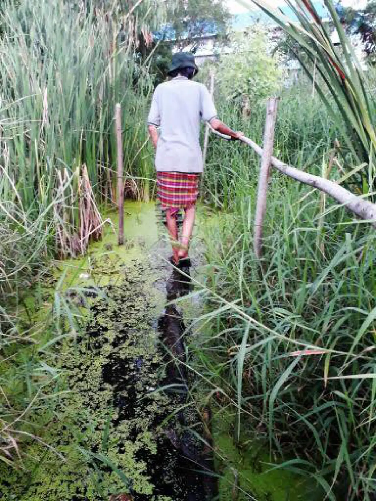 น่าสงสารจับใจ ลุงชราอาศัยอยู่กับสุนัข 6 ตัว บ้านเป็นเพิงผุๆ จะล้มเมื่อไหร่ก็ไม่รู้ เวลาฝนตกต้องยืนหลับ ?? วอนโซเชียลช่วยลุงที (ภาพชุด)