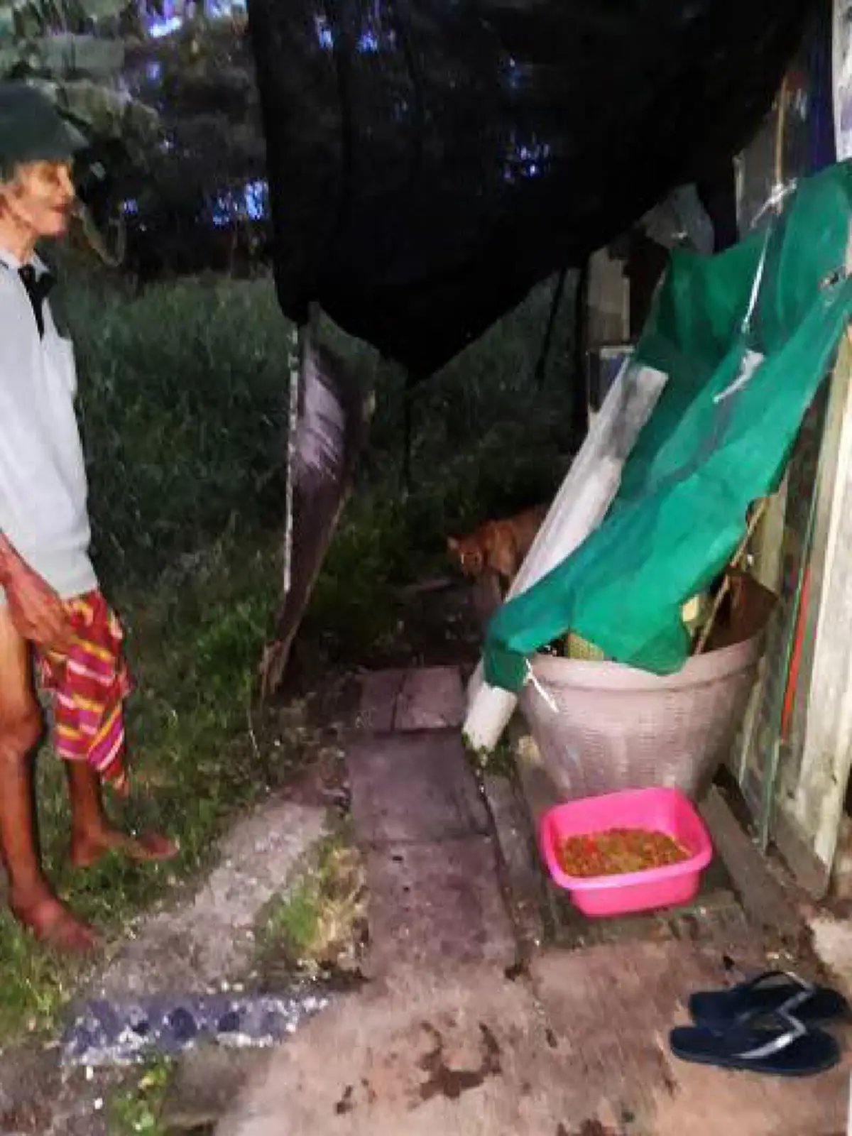 น่าสงสารจับใจ ลุงชราอาศัยอยู่กับสุนัข 6 ตัว บ้านเป็นเพิงผุๆ จะล้มเมื่อไหร่ก็ไม่รู้ เวลาฝนตกต้องยืนหลับ ?? วอนโซเชียลช่วยลุงที (ภาพชุด)