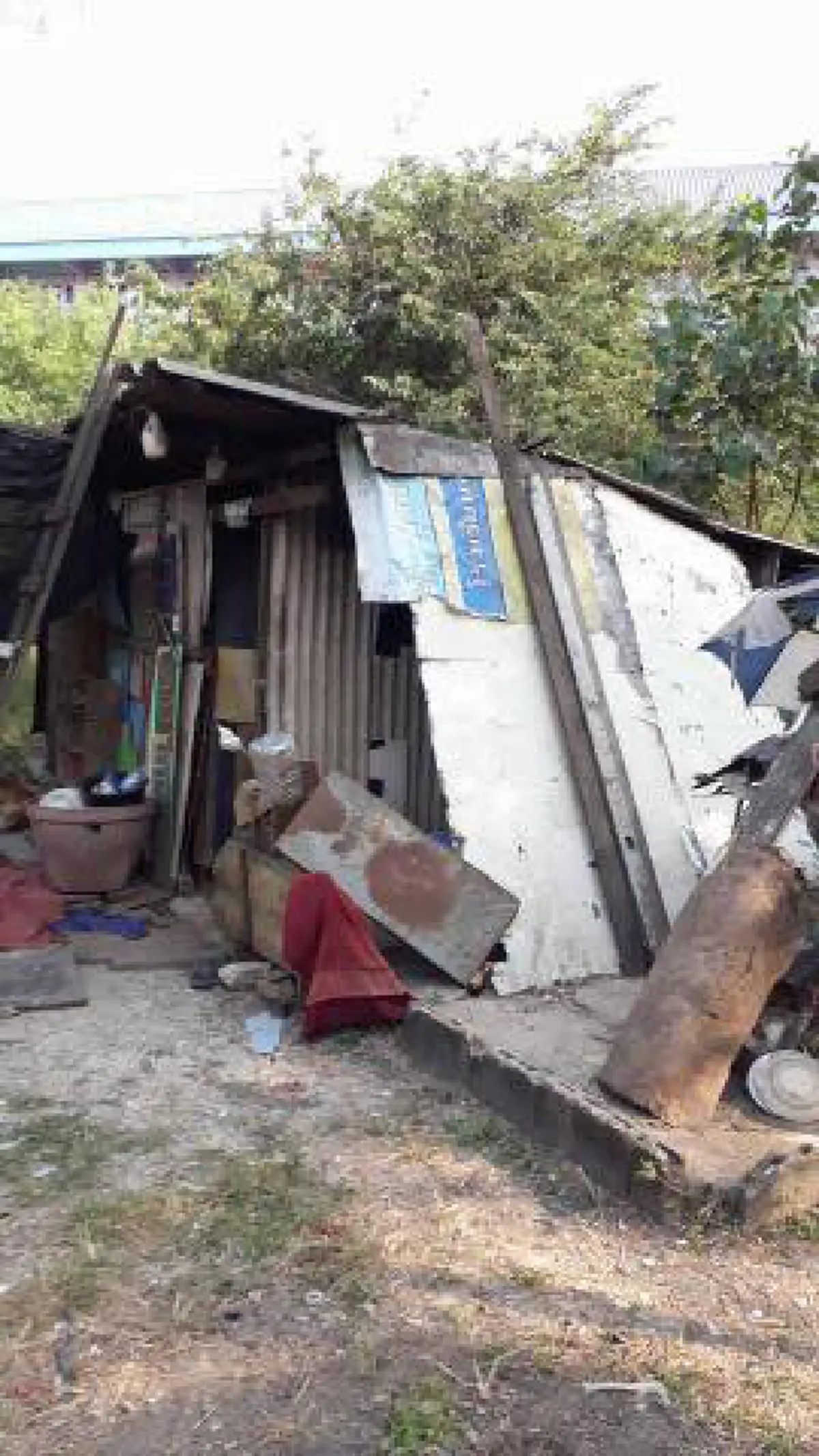 น่าสงสารจับใจ ลุงชราอาศัยอยู่กับสุนัข 6 ตัว บ้านเป็นเพิงผุๆ จะล้มเมื่อไหร่ก็ไม่รู้ เวลาฝนตกต้องยืนหลับ ?? วอนโซเชียลช่วยลุงที (ภาพชุด)