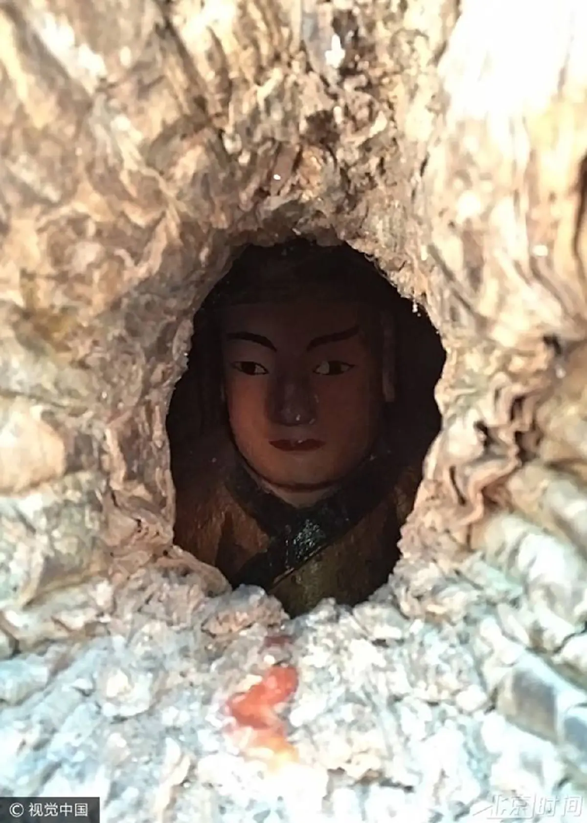 มหัศจรรย์!! ประชาชนและนักท่องเที่ยวต่างมุงดู พระพุทธรูป ที่ซ่อนตัวอยู่ในโพรงลำต้นการบูรเก่าแก่ ซึ่งชาวบ้านเชื่อกันว่ามีอายุมากกว่า 1,000 ปี!