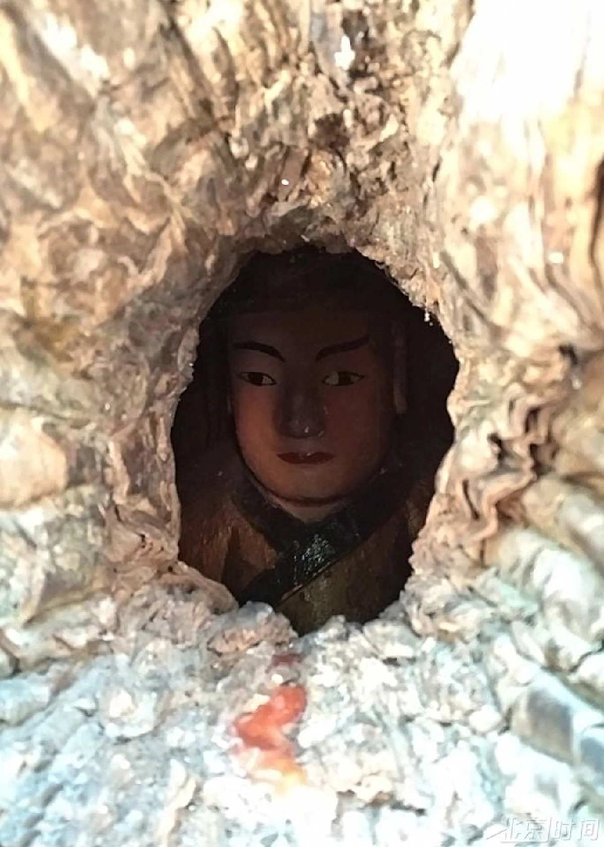 อะเมซิ่ง! พบ “พระพุทธรูป” ซ่อนอยู่ในต้นไม้ พอทราบตำนานเเล้วถึงกับอึ้ง ชาวบ้านและนักท่องเที่ยวฮือฮาเเชร์ลงโซเชียลทันที!?!