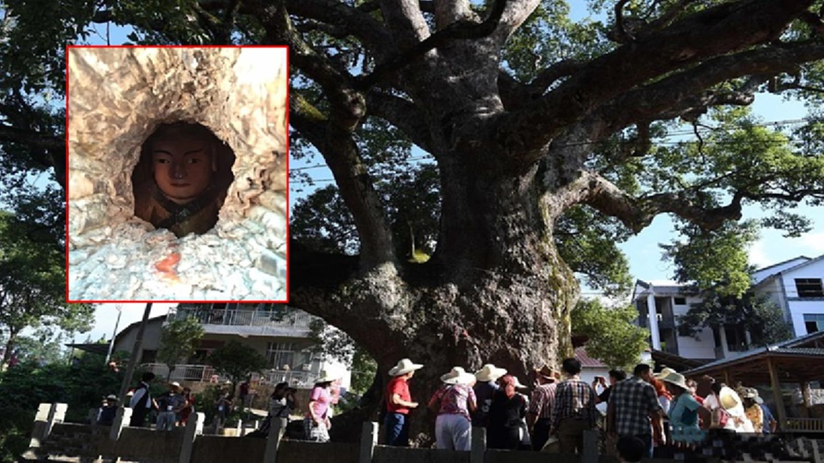 อะเมซิ่ง! พบ “พระพุทธรูป” ซ่อนอยู่ในต้นไม้ พอทราบตำนานเเล้วถึงกับอึ้ง ชาวบ้านและนักท่องเที่ยวฮือฮาเเชร์ลงโซเชียลทันที!?!