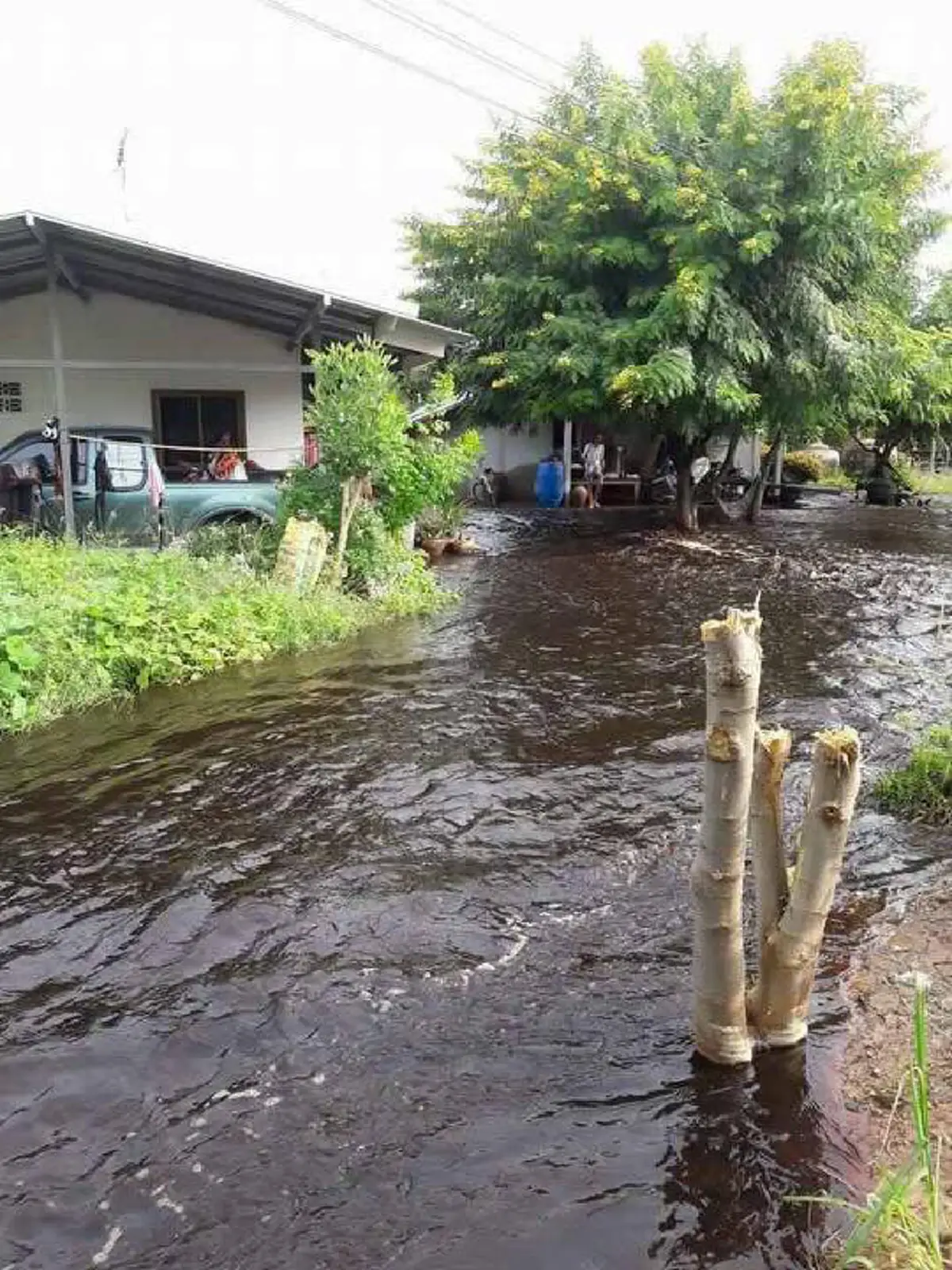 ปิดปรับปรุงแค่นั้นหรือ?ฟัง"อ.อ๊อด"มีอึ้ง!น้ำเสียโรงงานทะลักคลองสุพรรณฯถึงขั้นก่อภาวะสนิมเครื่องครัว กลิ่นก๊าซไข่เน่าเป็นกรดกระทบระบบหายใจ!