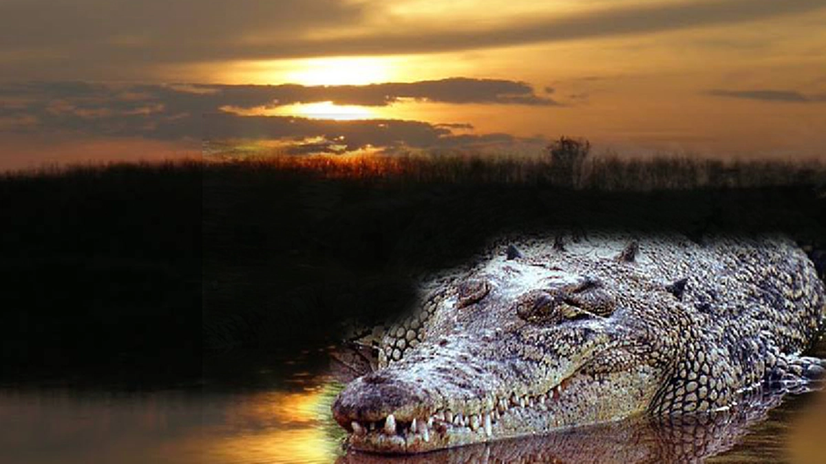 สุดยอดวิชา...แห่งแดนอีสานโบราณ "มนต์ซวดน้ำ" !!! สู่ตำนาน และจุดจบ ของ "จระเข้ใหญ่เจ้าพ่อ" !!!