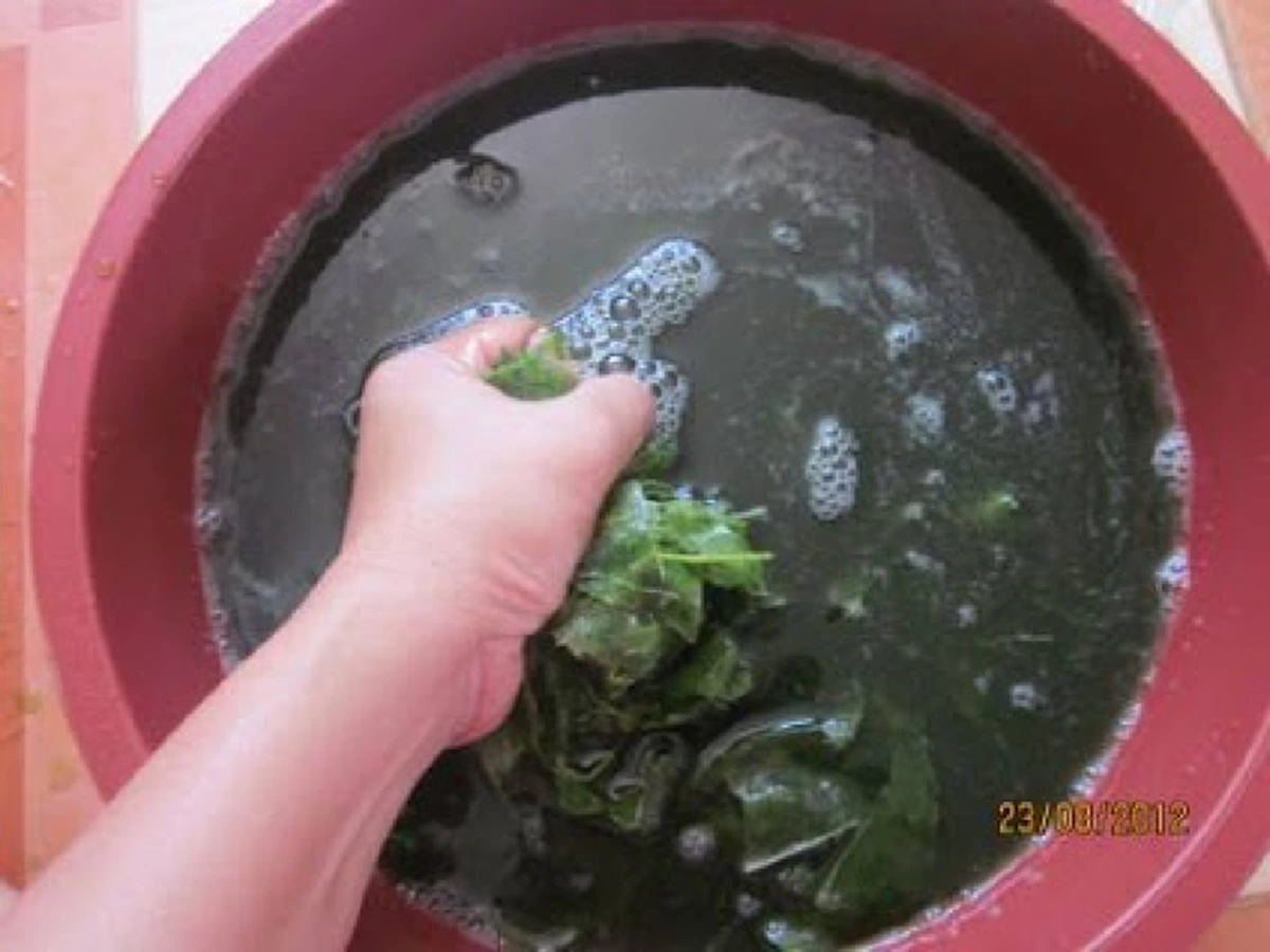 วิธีการทำน้ำใบย่านาง