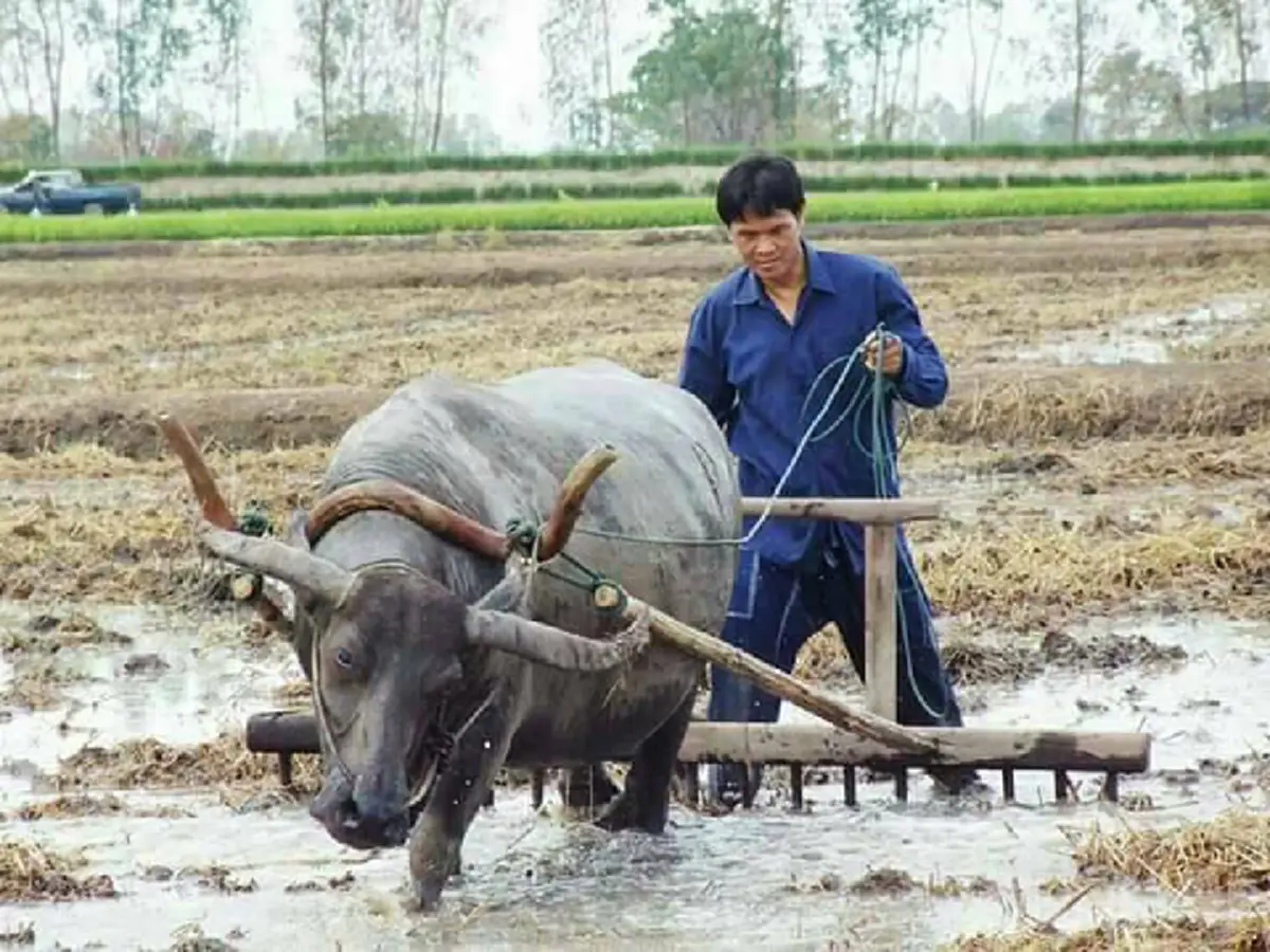 ปรีชา เรืองจันทร์ อดีตผู้ว่าฯ  ชาวนา ดีกรีด็อกเตอร์ ใช้ชีวิตหลังเกษียณ ตามหลักเศรษฐกิจพอเพียง "ปลูกทุกอย่างที่กิน กินทุกอย่างที่ปลูก"