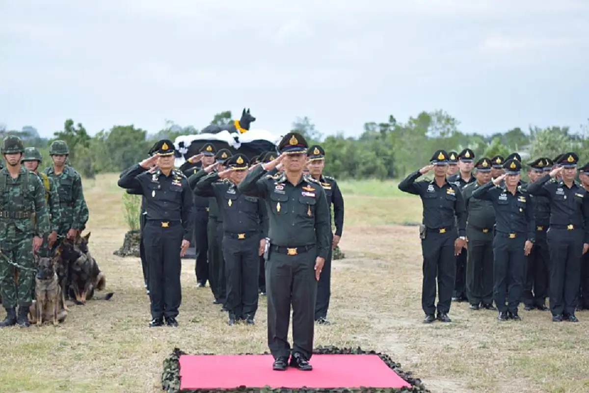 เกียรติยศศักดิ์ศรีที่ไม่แพ้มนุษย์ !!! เปิดภาพ"พิธีอำลาสุนัขทหารไทย" อีกหนึ่งผู้อยู่เบื้องหลังถวายการรักษาความปลอดภัยในพระราชพิธีต่างๆ