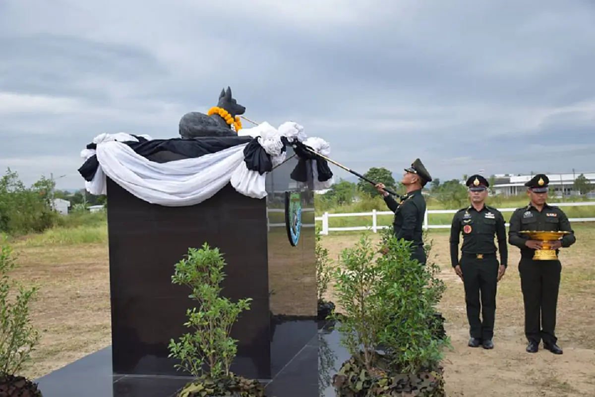 เกียรติยศศักดิ์ศรีที่ไม่แพ้มนุษย์ !!! เปิดภาพ"พิธีอำลาสุนัขทหารไทย" อีกหนึ่งผู้อยู่เบื้องหลังถวายการรักษาความปลอดภัยในพระราชพิธีต่างๆ