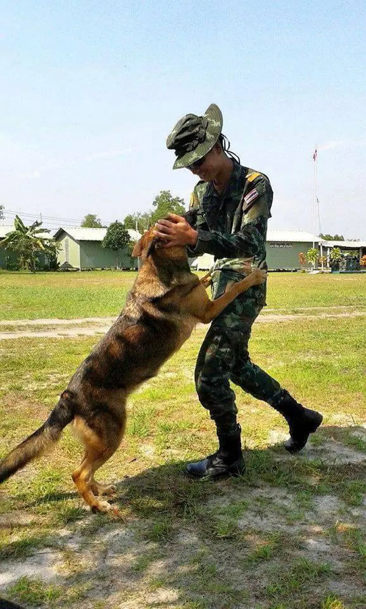 เกียรติยศศักดิ์ศรีที่ไม่แพ้มนุษย์ !!! เปิดภาพ"พิธีอำลาสุนัขทหารไทย" อีกหนึ่งผู้อยู่เบื้องหลังถวายการรักษาความปลอดภัยในพระราชพิธีต่างๆ