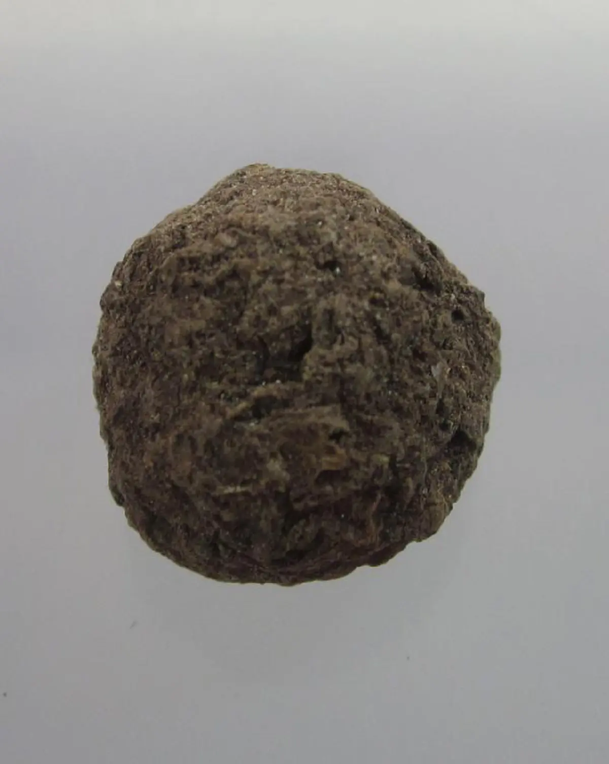 ชานหมากนี้เลี่ยมติดตัวไว้นะลูกนะ "หลวงปู่ทิม วัดพระขาว"สยบงูเห่าอย่างง่ายดาย หลังจากแผ่แม่เบี้ย..เพื่อหมายปลิดชีวิตเด็กน้อย.